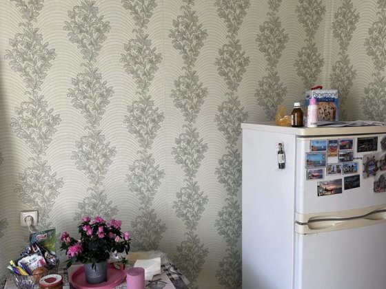 200 Лет Херсона , Таврик . Херсон