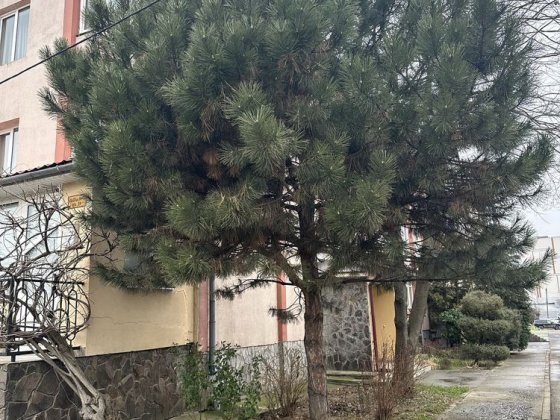 Продаж 5-ти кімнатноі квартири м.Ужгород вул.Перемоги Ужгород