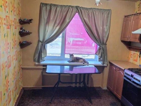 1к квартира Браїлки, 34 м², ремонт, цегляний будинок, 1 поверх Полтава