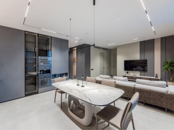 Власник, Новопечерськи липки, 6а черга Київ