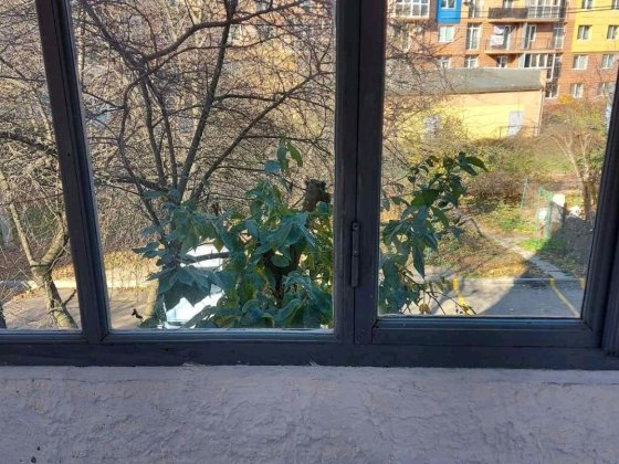 1 кімнатна квартира продаж Бульвар Героїв Крут Чернівці