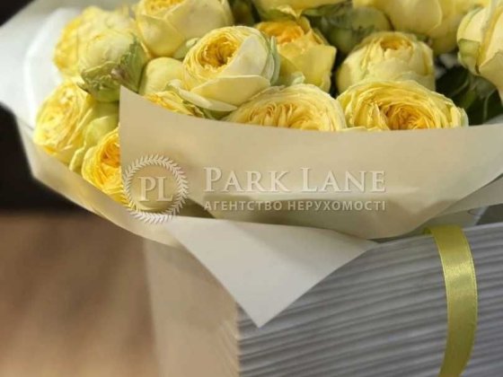 Драгоманова, Пчілки   Григоренко   Ахматова  без %