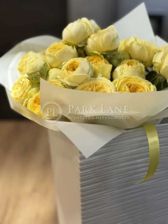 Драгоманова, Пчілки   Григоренко   Ахматова  без % - фото 1