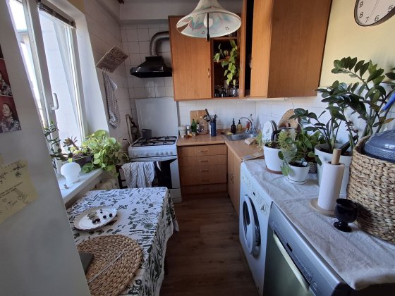 Метро Васильківська і Голосіївська, Оріхуватська вул, Голосіївський Київ