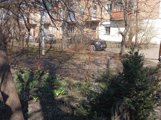 Квартира в центрі з власним подвір'ям Житомир