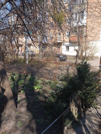 Квартира в центрі з власним подвір'ям - фото 1