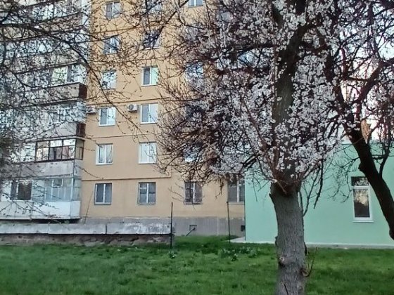 Продаєтся 3-и.кім.кв  р-н Д, П.Дорошенко,20 Євідновлення Черкассы