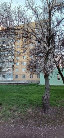 Продаєтся 3-и.кім.кв  р-н Д, П.Дорошенко,20 Євідновлення - фото 1