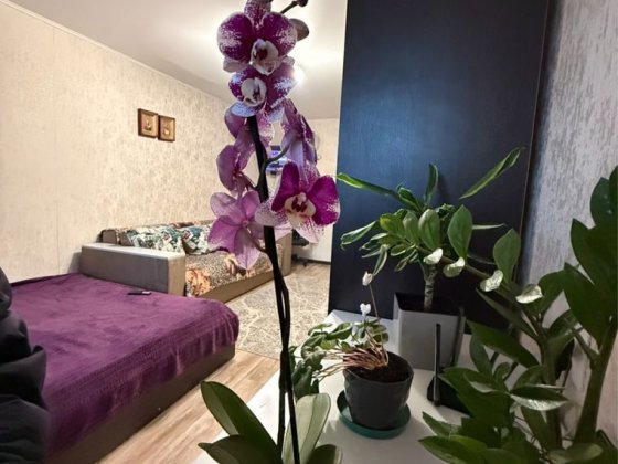 Продам 1к кв Польова Житомир