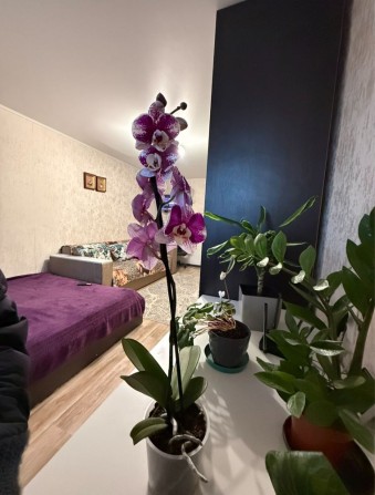 Продам 1к кв Польова - фото 1