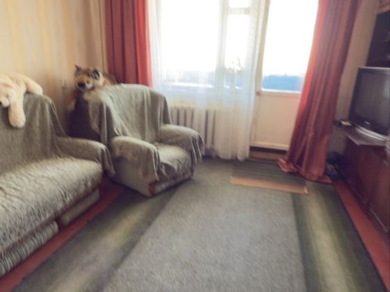 3х кімнатна квартира Супер! Житомир