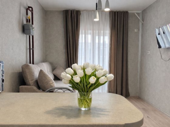 Оренда однокімнатна Гостомель, Газ, Без комісії Гостомель