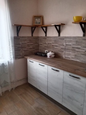 Здам 1 чешку Ковельський у довгострокову оренду - фото 1