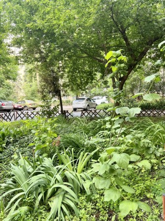 Сертифікат беремо. Продам 3к Чешку ж/м Тополь-1, д.15. - фото 1