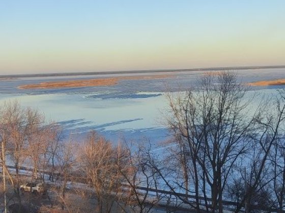 Здам 1 к квартиру ! Новая Украинка