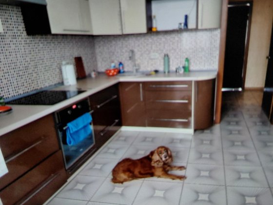 Здорова ,комфортна кімната Новая Украинка