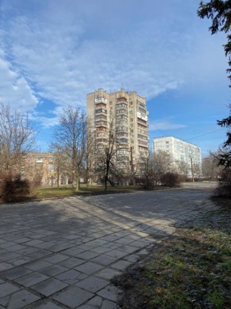 Собственник. 2-х Ком. Кв.  7 этаж. - фото 1