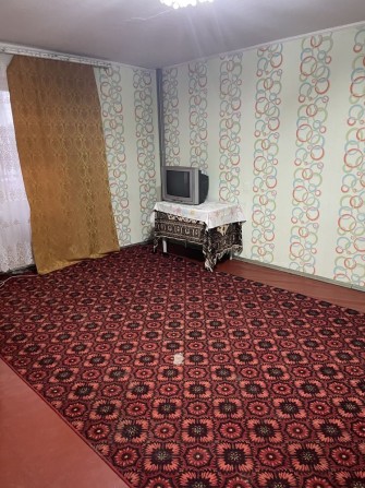 Здам 1 кімнатну квартиру - фото 1