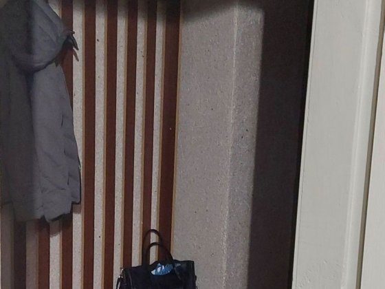 Здам квартиру на Відродження, власник, Агентства прошу не турбувати Липини