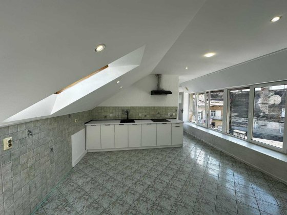 Продаж 2рівневої квартири на вул. Івана Франка (Костомарова). 300кв.м. Львов