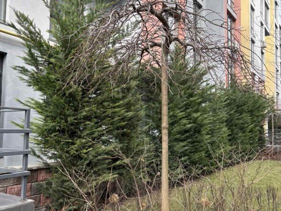 Продам квартиру в ЖК Приморские Сады Одеса