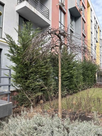 Продам квартиру в ЖК Приморские Сады - фото 1