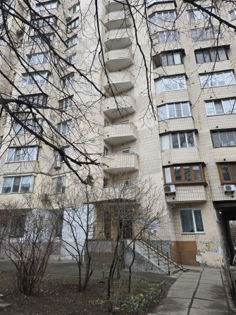 квартира 2х комнатная  Лукьяновка - фото 1