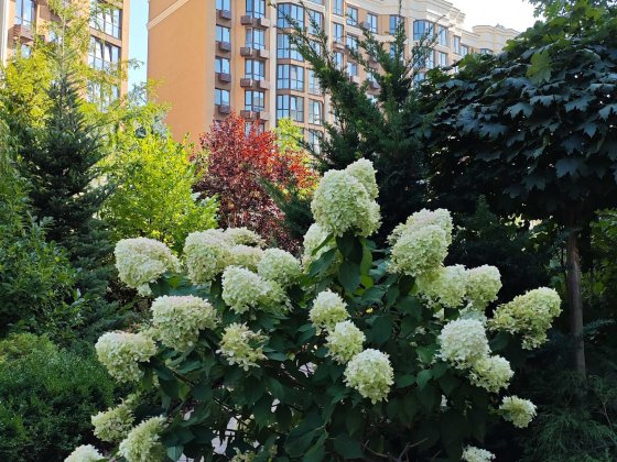 Розстрочка купити квартиру 3К Софія Резиденс София Софіївська квартира Софіївська Борщагівка