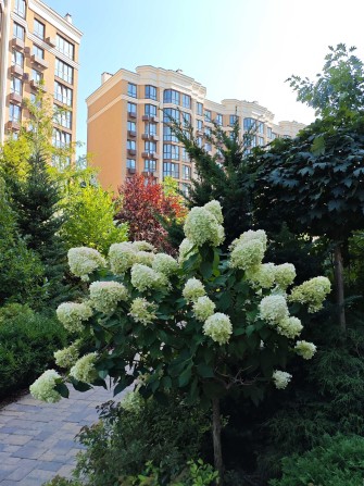 Розстрочка купити квартиру 3К Софія Резиденс София Софіївська квартира - фото 1