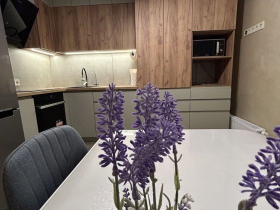 Квартира в будинку де працює ліфт, є генератор Новий ремонт! Видова Київ