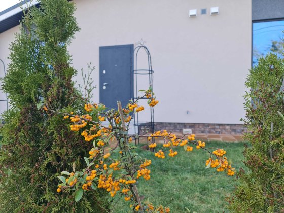 Забудовник! Плануєте купити квартири? Будинок це простір та комфорт. Софиевская Борщаговка