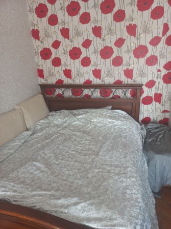 Здам однокімнатну в центрі від власника - фото 1