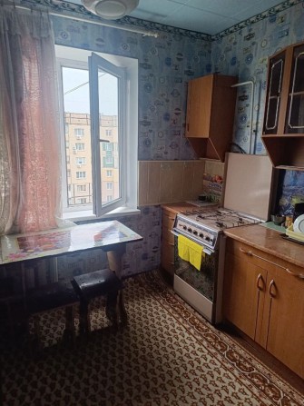 Здається в оренду 1К квартира на Сонячному - фото 1