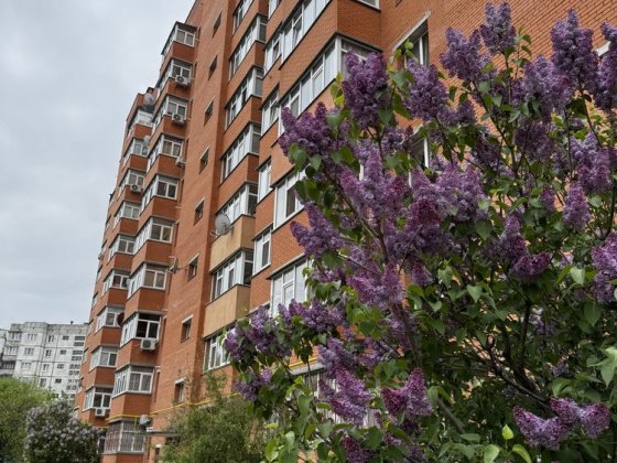 1к Ковпака з автономкою в оренду Сумы