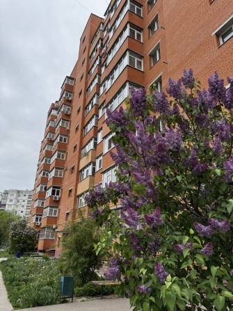 1к Ковпака з автономкою в оренду - фото 1