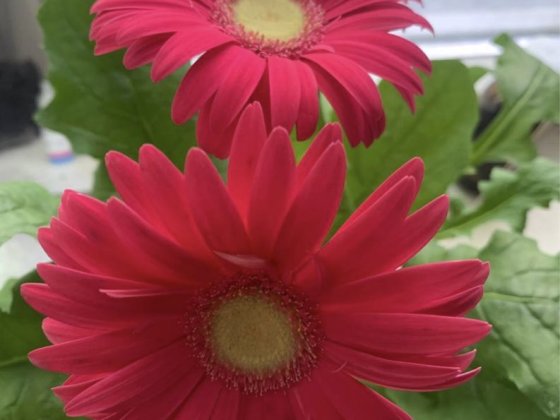 Шуменский 10 минут рынок Херсон