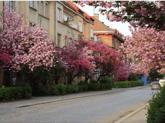 Оренда 2-х кімн кв біля набережної Ужгород