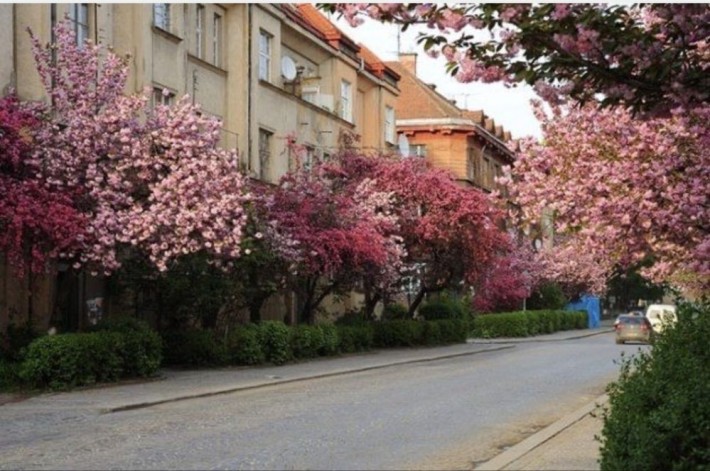 Оренда 2-х кімн кв біля набережної - фото 1