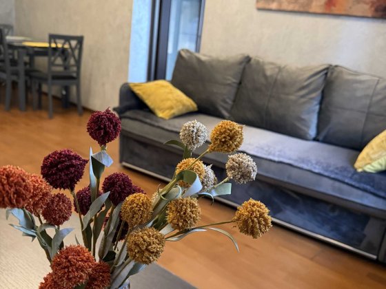 Оренда квартири в центрі Львова Львов