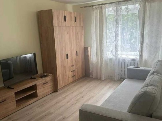 Оренда однокімнатної квартири по вул. Володимира Великого Львов