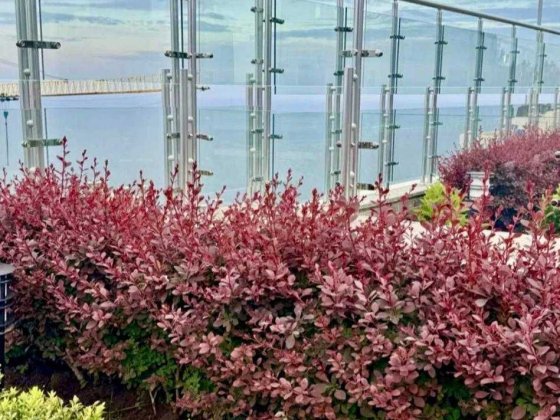 СДАМ От МЕСЯЦА до ГОДА‼️ЖК АТМОСФЕРА/Аркадия‼️10эт Евро-Двушка.Балкон Одеса