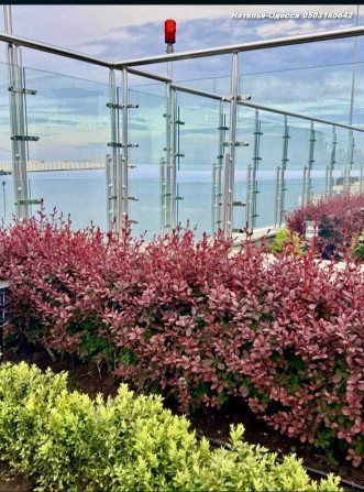 СДАМ От МЕСЯЦА до ГОДА‼️ЖК АТМОСФЕРА/Аркадия‼️10эт Евро-Двушка.Балкон - фото 1