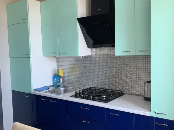 Соф.Борщаговка(Вишневое),ул.Боголюбова 41. Хорошая 1 комнатная квартир Софиевская Борщаговка