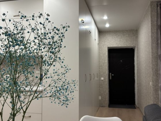 ЖК Софіївська сфера!Без комісії для орендаря! Можна з котиком! Софиевская Борщаговка