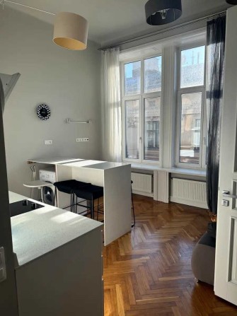 Оренда 1 кімнатної квартири вул. Коперника - фото 1