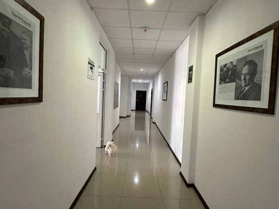 Сдам  2-комнатную квартиру  улица  Жемчужная ЖК " 40 Жемчужина" Одеса