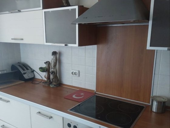 Ремонт,новий будинок.2 санвузла,камін