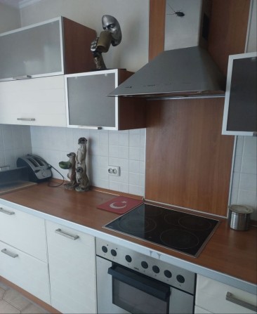 Ремонт,новий будинок.2 санвузла,камін - фото 1