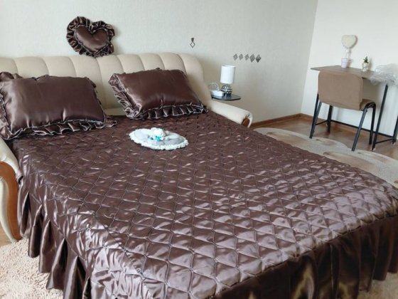 Оренда великої однокімнатної квартири поруч з  метро Деміївська Київ