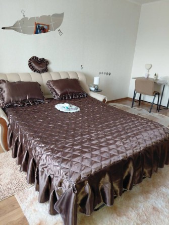 Оренда великої однокімнатної квартири поруч з  метро Деміївська - фото 1